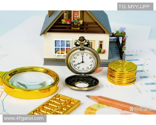 聚焦财富之路,点亮您的成功之旅,开启无限可能与机遇